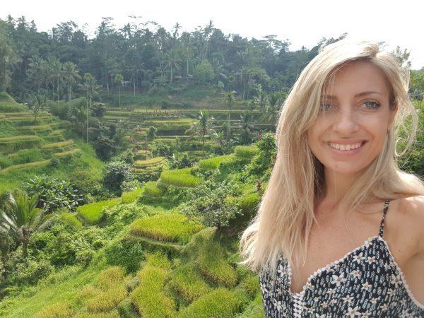 risaie di Tengallalang Bali