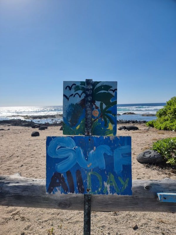 pine trees beach big island