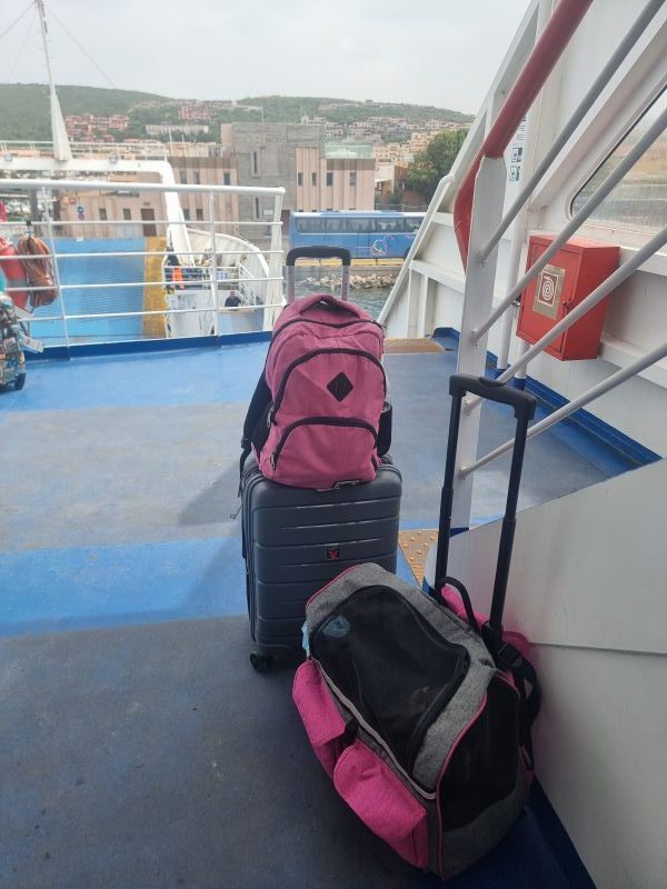 valigia roncato bagaglio a mano